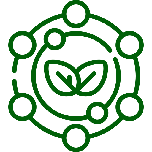 Rich in Antioxidants