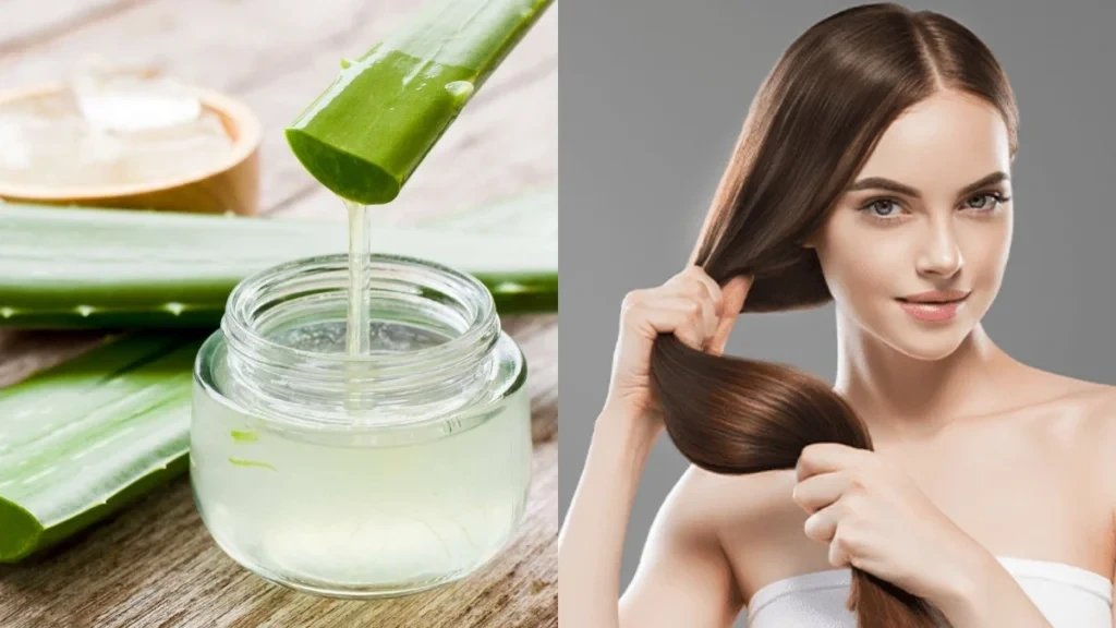 Fresh aloe vera gel being used for natural skin and hair care by Kshithija Enterprises